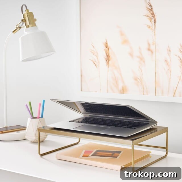 Gold Metal Desk Riser, elevating monitors and adding elegance to cute desk accessories.