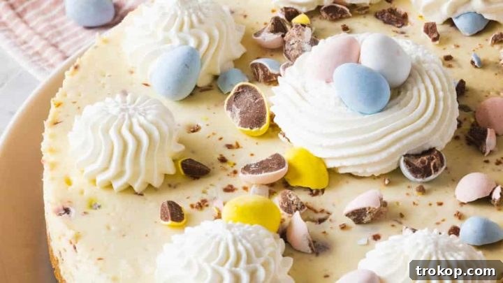 Easter Egg Cheesecake: Mini Egg Cheesecake Recipe