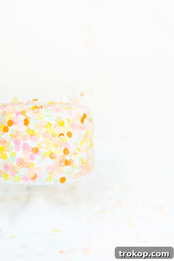 a sole photo of colorful cake with edible confetti toppings - party popper cake topper