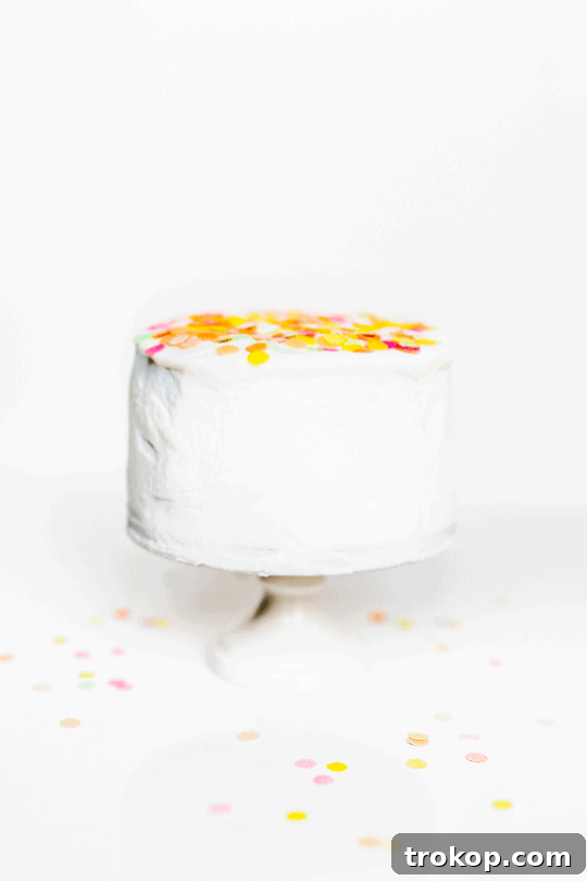 edible confetti toppings on top only - cake and confetti 