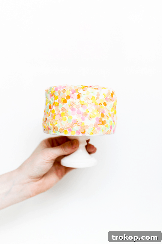 party city confetti poppers - holding the cake covered with edible confetti