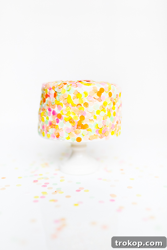 solo photo of fully covered edible confetti cake - confetti shooters