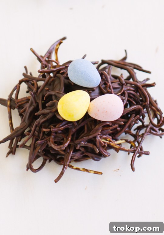 close up of a single chocolate haystack