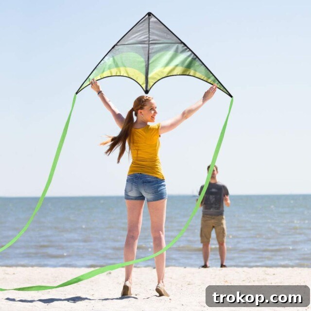 37 Must Have Beach Toys for Endless Vacation Entertainment 20 Beach Kite for Best Beach Toys