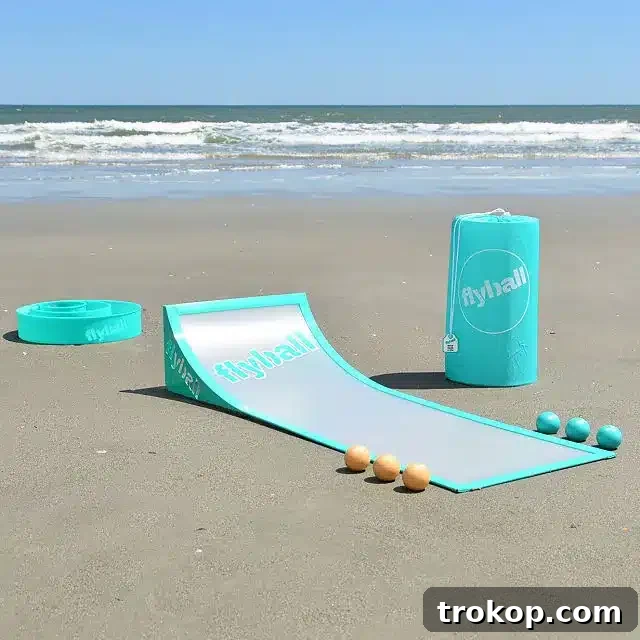 37 Must Have Beach Toys for Endless Vacation Entertainment 38 Fly Ball Lawn and Beach Game