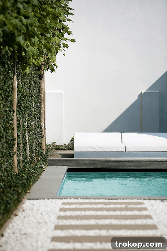 Chasing Keys, Crafting Dreams 3 Dream Home with Modern Pool and Garden