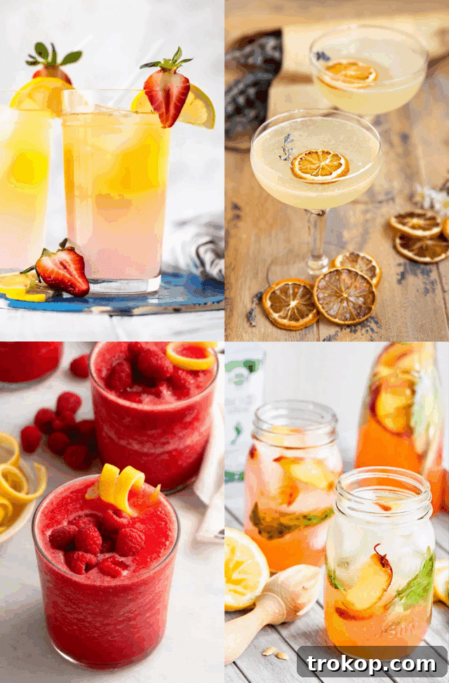 Lemonade Cocktails: 31 Refreshing Recipes You Can Easily Mix 2 Refreshing Lemonade Cocktails