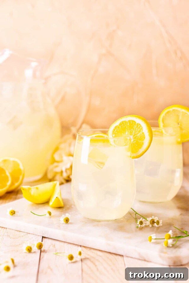 Lemonade Cocktails: 31 Refreshing Recipes You Can Easily Mix 11 tequila lemonade cocktail