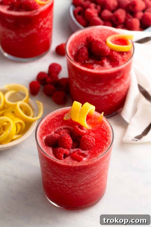 Lemonade Cocktails: 31 Refreshing Recipes You Can Easily Mix 17 Frozen Raspberry Lemonade Vodka Cocktail