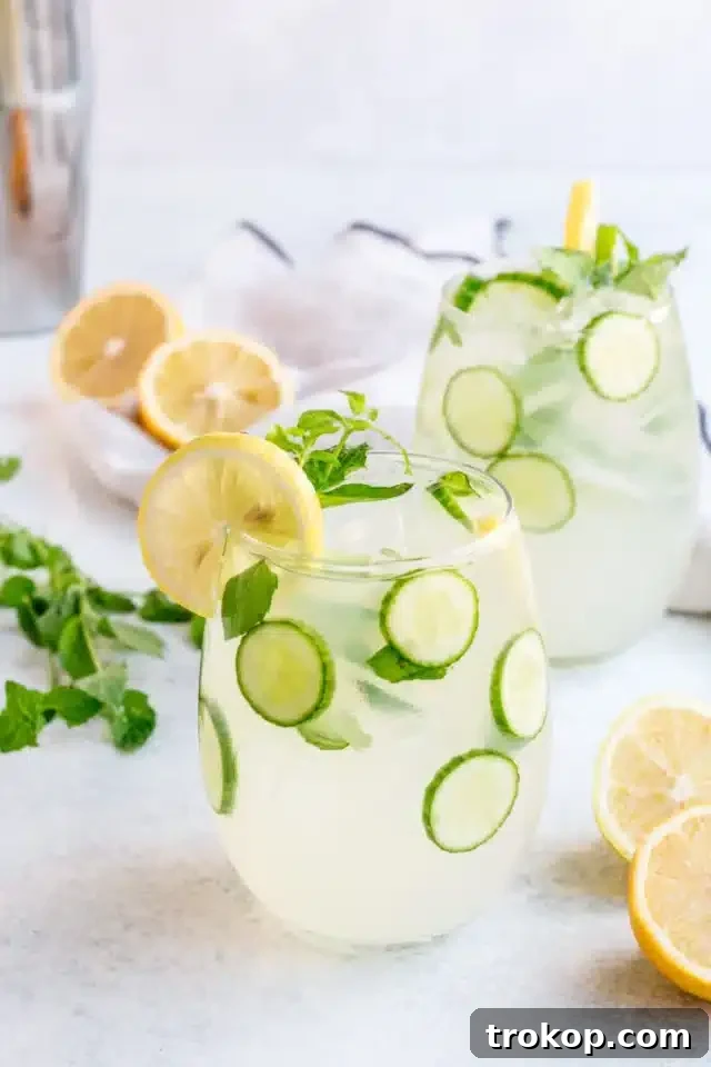 Lemonade Cocktails: 31 Refreshing Recipes You Can Easily Mix 23 Cucumber Vodka Lemonade
