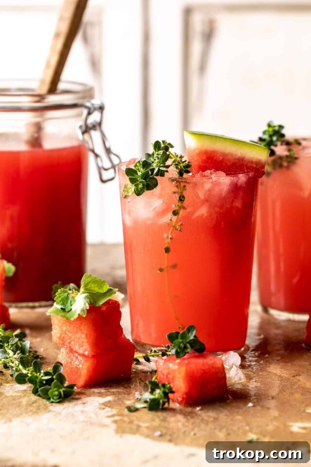 Lemonade Cocktails: 31 Refreshing Recipes You Can Easily Mix 25 Pink Vodka Watermelon Lemonade