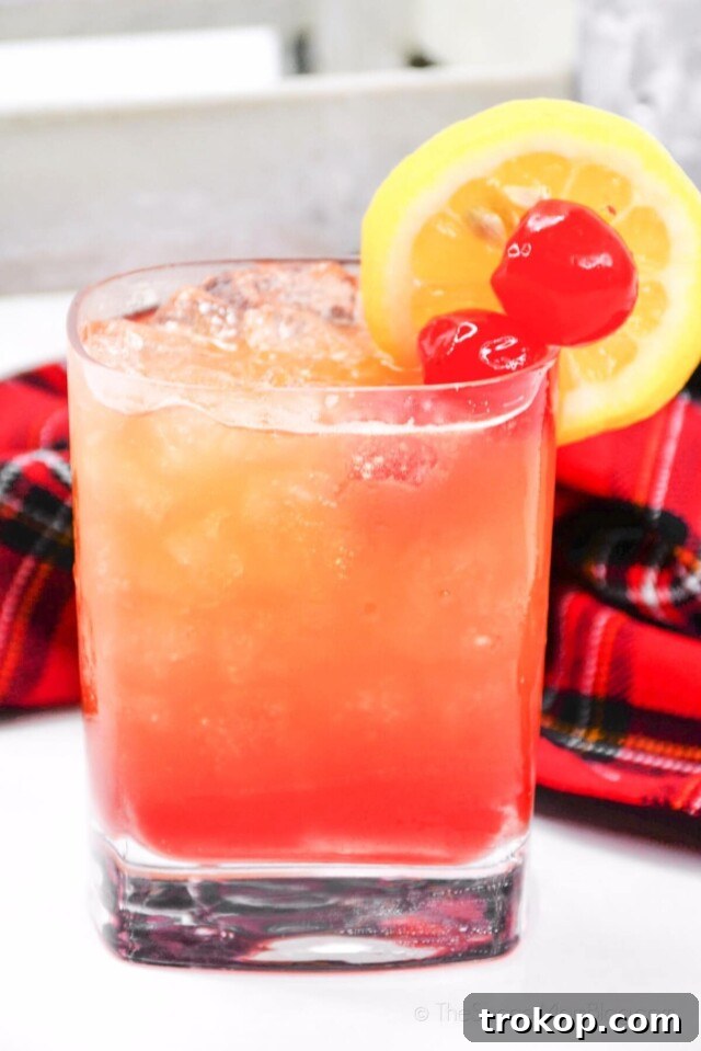 Lemonade Cocktails: 31 Refreshing Recipes You Can Easily Mix 26 Campfire Cocktail