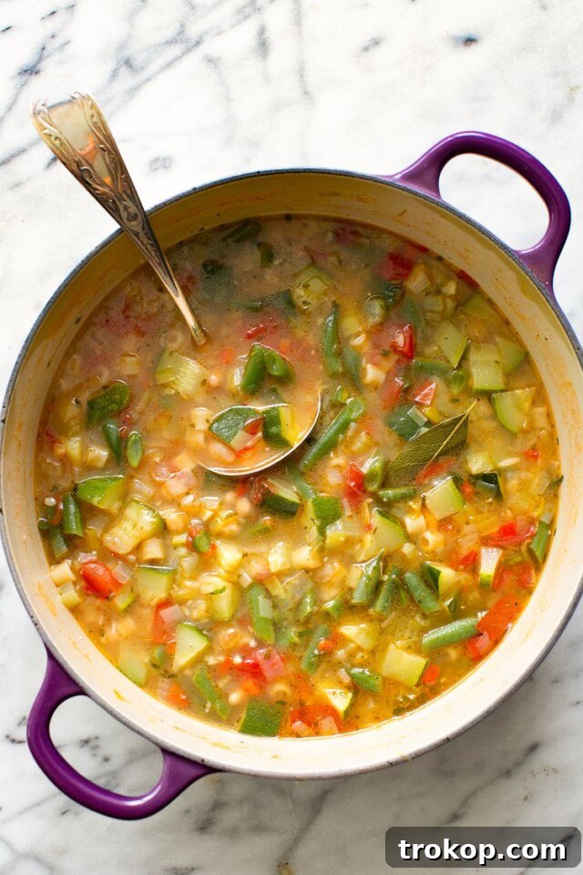 Bowl of light summer minestrone soup with fresh vegetables