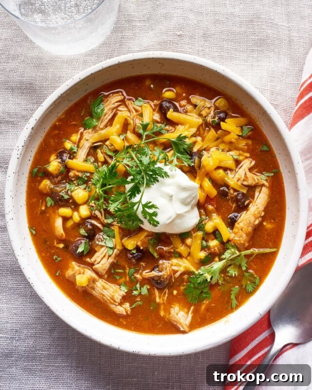 Cozy slow cooker chicken enchilada soup with toppings