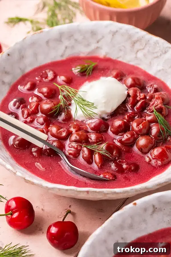 Vibrant Hungarian cold cherry soup (Hideg Meggyleves), dairy-free