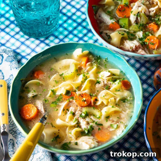 Classic Instant Pot chicken noodle soup with fresh dill