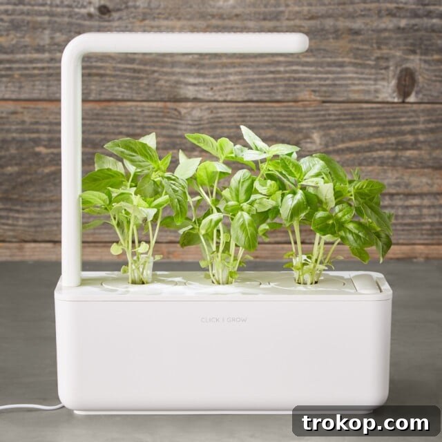 Click & Grow Smart Garden System for easy indoor herb gardening