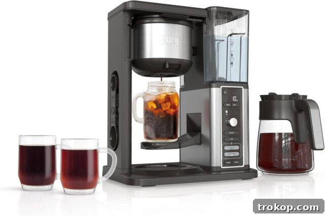 Ninja Hot & Iced XL Coffee Maker with Rapid Cold Brew, 4 Brew Styles, 8 Sizes