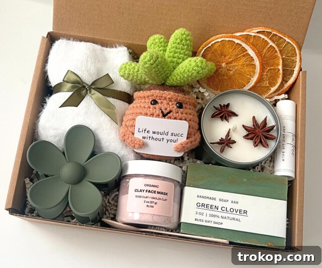 Life Would Suc Without You Gift Set, a cozy care package with a succulent