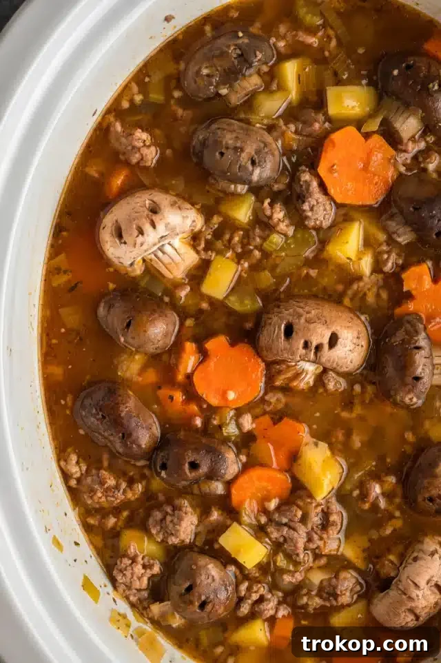 Ghoulishly Good Halloween Party Bites 31 Slow Cooker Witches Brew Stew