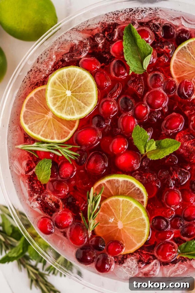 Holiday Cheer: Thanksgiving Cocktails to Toast the Season 13 Cranberry Champagne Punch