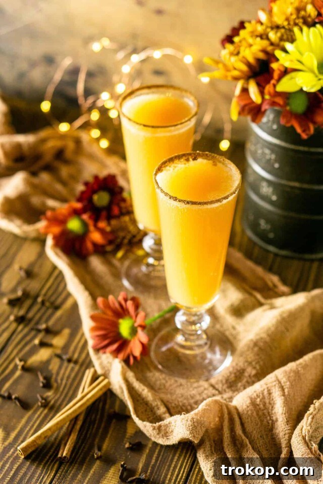 Holiday Cheer: Thanksgiving Cocktails to Toast the Season 22 Thanksgiving Mimosa Recipe