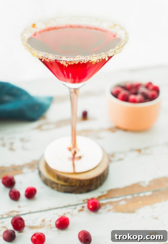 Holiday Cheer: Thanksgiving Cocktails to Toast the Season 7 Cranberry Sidecar Cocktail by Sugar & Cloth, an award winning DIY, recipes, and lifestyle blog.