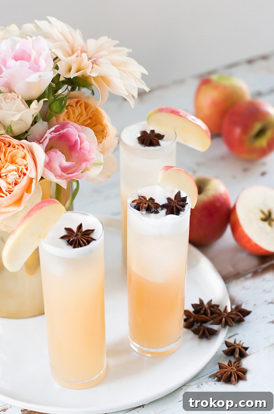 Holiday Cheer: Thanksgiving Cocktails to Toast the Season 8 apple brandy allspice fizz cocktail recipe - sugar and cloth