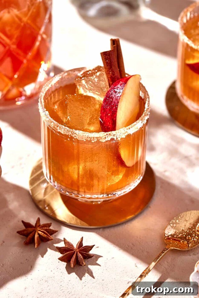 Holiday Cheer: Thanksgiving Cocktails to Toast the Season 10 Apple Cider Margarita for thanksgiving cocktails
