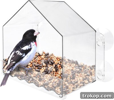 Clear View Window Bird Feeder with strong suction cups, gifts under $10 for bird lovers