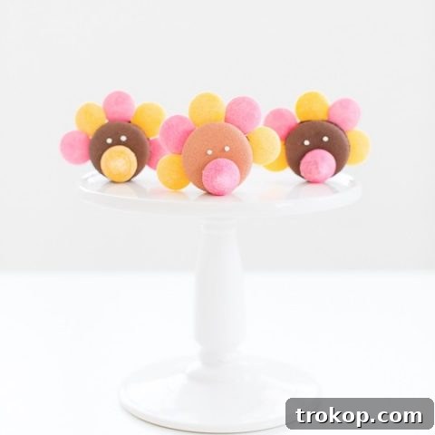 DIY Thanksgiving Turkey Macarons
