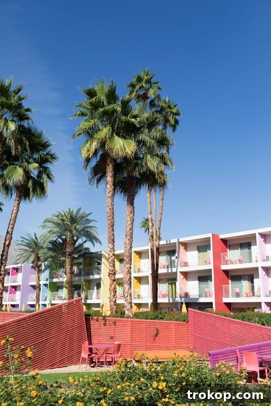 Vibrant LA & Palm Springs Travel Guide: Must-See, Eat, and Shop