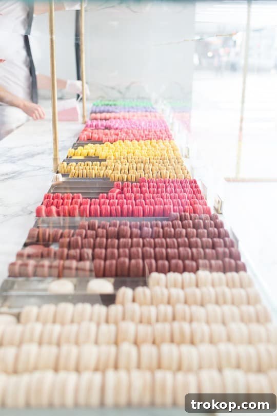 LA shopping guide: best boutiques and unique finds