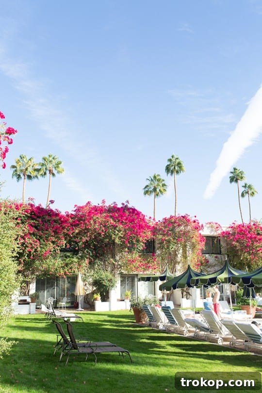 The Saguaro Palm Springs: a photogenic hotel