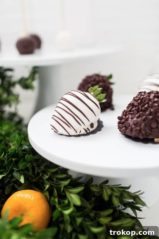 Inspiring dessert display ideas for your next party, showcasing beautifully arranged treats.