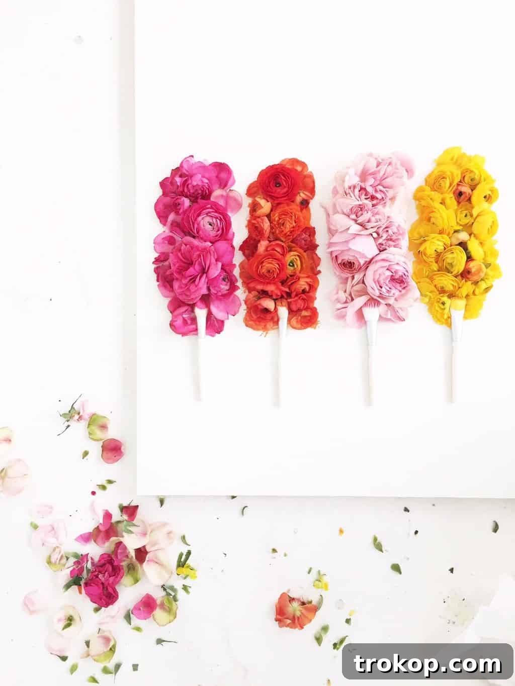 Behind-the-scenes look at the making of a color glossary with flowers