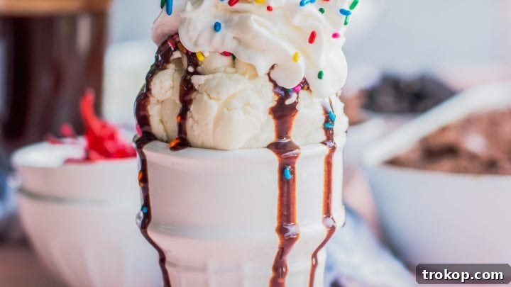 No Churn Ice Cream