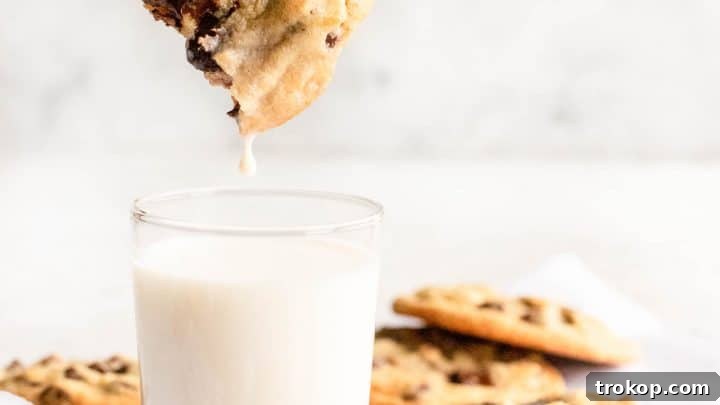 Best Chocolate Chip Cookies