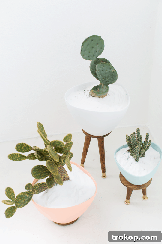 Chic DIY Mid-Century Plant Stands 12 Completed DIY Mid Century Planters. Modern, budget-friendly plant stands for various indoor plants.