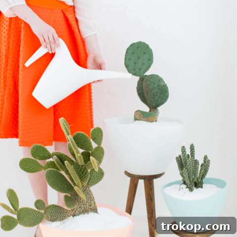 DIY mid century planters | sugar & cloth