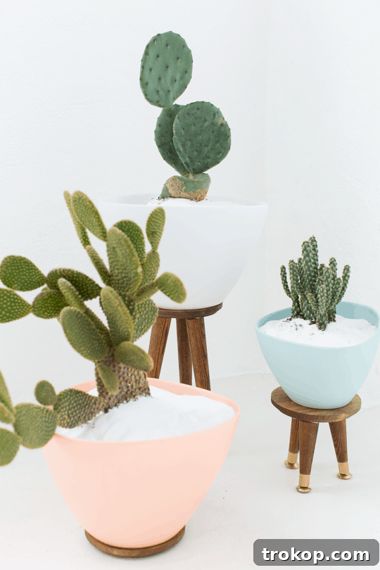 Chic DIY Mid-Century Plant Stands 3 DIY Mid Century Planters - Perfect for cacti, succulents, and indoor plants. Easy, budget-friendly, modern DIY home decor.