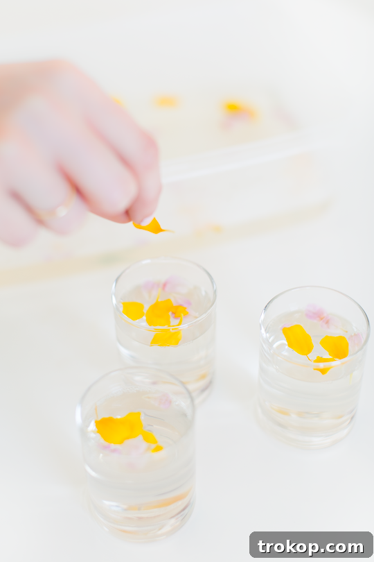 Edible Flower Lemon Jello Recipe