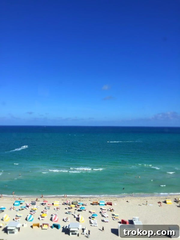 Unseen Glimpses 5 miami