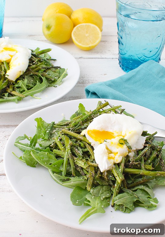 Perfectly Poached Eggs: Methods and Serving Ideas 8 Asparagus & Poached Egg Salad Recipe | sugar & cloth