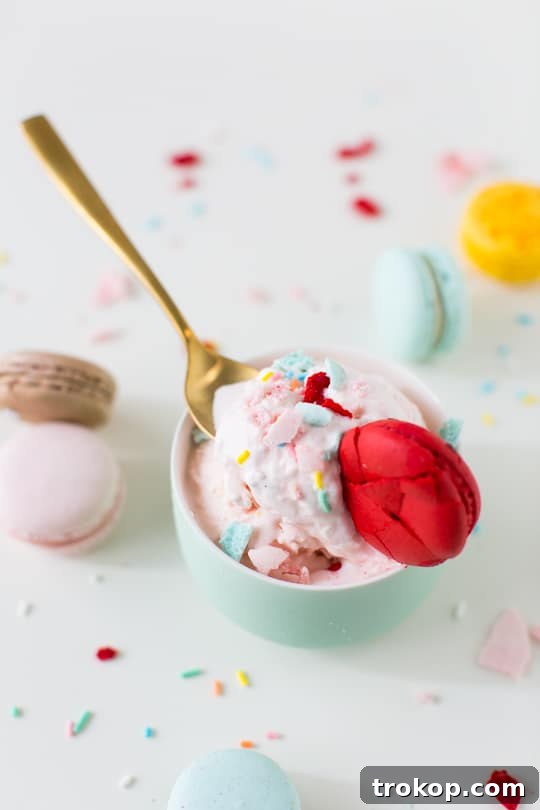 Decadent Homemade Macaron Ice Cream 11 Explore More Homemade Ice Cream Delights