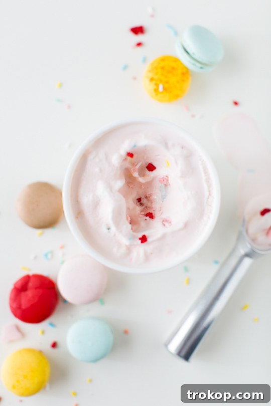 Decadent Homemade Macaron Ice Cream 4 Delicious Macaron Ice Cream: Step-by-Step Recipe Guide