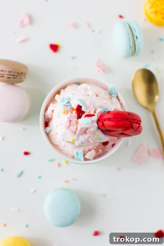 Decadent Homemade Macaron Ice Cream 5 Simple Macaron Ice Cream Recipe for Dessert Lovers