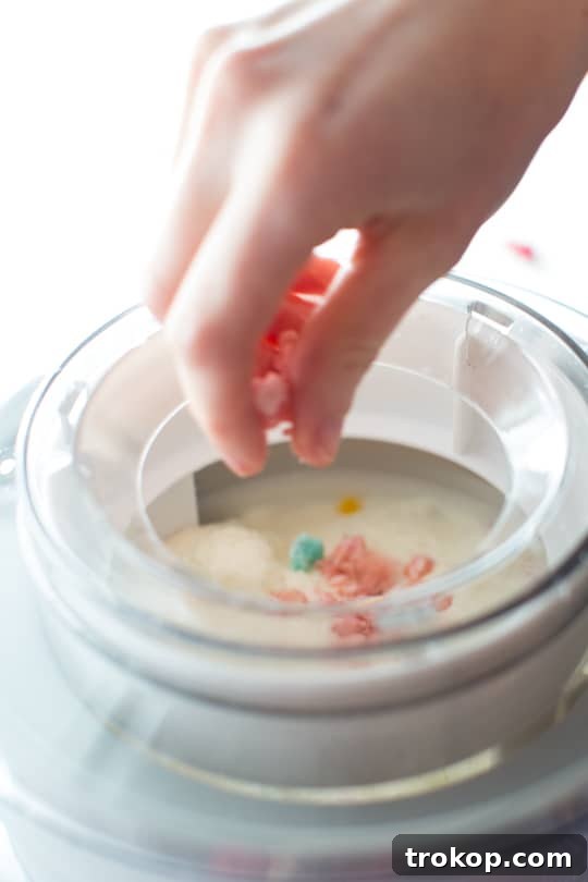 Decadent Homemade Macaron Ice Cream 6 Homemade Macaron Ice Cream: Indulgent Sweet Treat