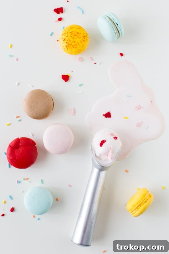 Decadent Homemade Macaron Ice Cream 7 Perfect Macaron Ice Cream: Tips for Success