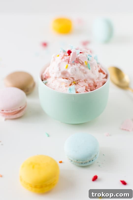 Decadent Homemade Macaron Ice Cream 10 Macaron Ice Cream Storage and Serving Suggestions